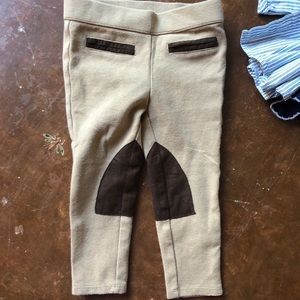 Janie and Jack riding pants